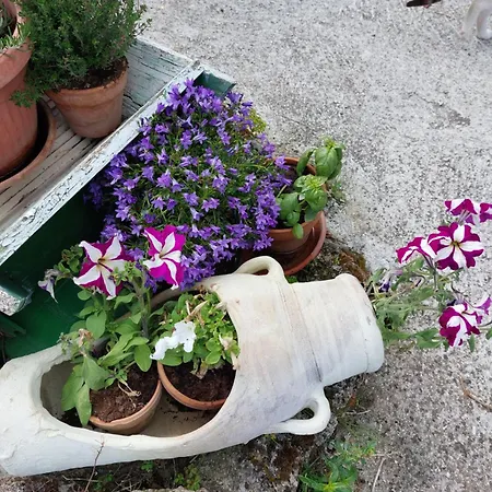 Il Casale Di Pino E Rita Apartament